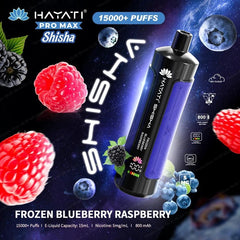 Frozen Blueberry Raspberry – Disposable Electric Cigarette