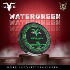 IGNITE  Nicotine Pouches 20mg | Vape Shop in Dubai